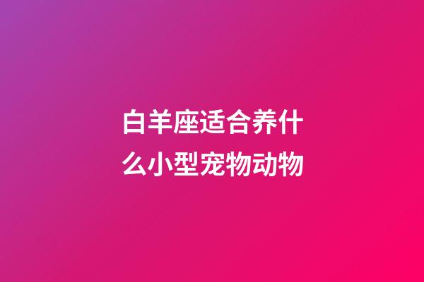 白羊座适合养什么小型宠物动物-第1张-星座运势-玄机派