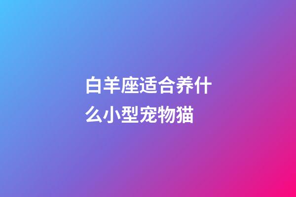 白羊座适合养什么小型宠物猫-第1张-星座运势-玄机派