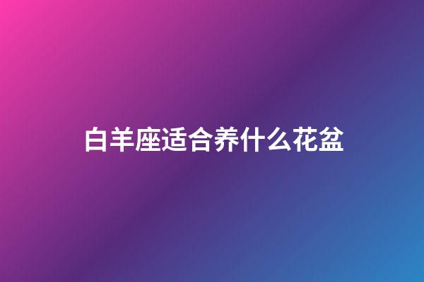 白羊座适合养什么花盆-第1张-星座运势-玄机派