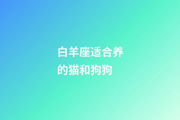 白羊座适合养的猫和狗狗-第1张-星座运势-玄机派