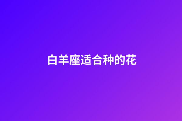 白羊座适合种的花-第1张-星座运势-玄机派