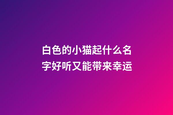 白色的小猫起什么名字好听又能带来幸运