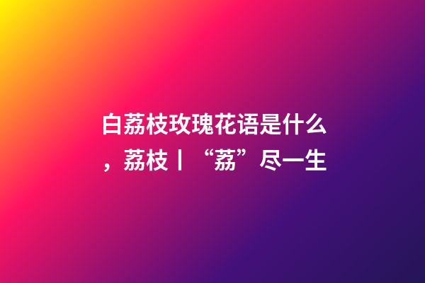 白荔枝玫瑰花语是什么，荔枝丨“荔”尽一生-第1张-观点-玄机派
