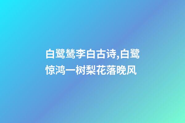 白鹭鸶李白古诗,白鹭惊鸿一树梨花落晚风-第1张-观点-玄机派