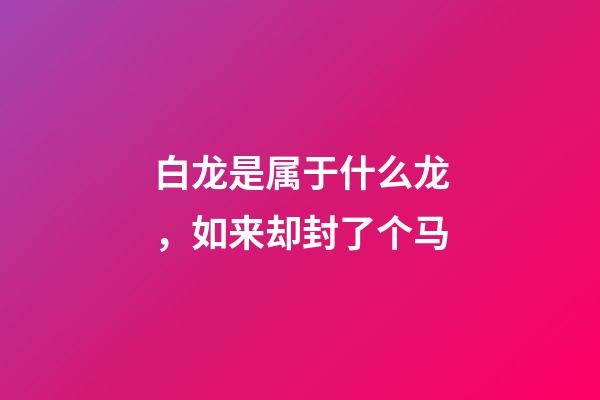 白龙是属于什么龙，如来却封了个马-第1张-观点-玄机派