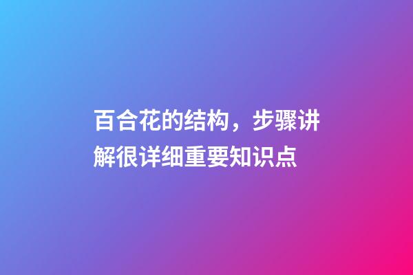 百合花的结构，步骤讲解很详细重要知识点-第1张-观点-玄机派