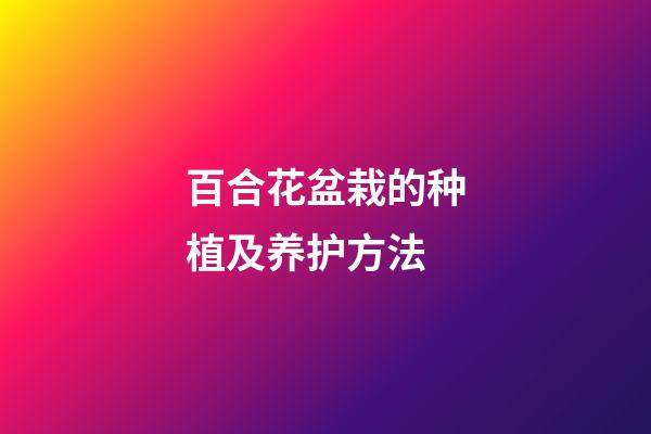 百合花盆栽的种植及养护方法