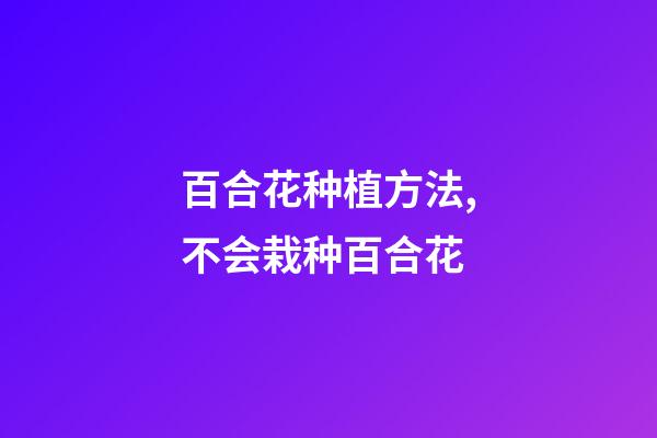 百合花种植方法,不会栽种百合花-第1张-观点-玄机派