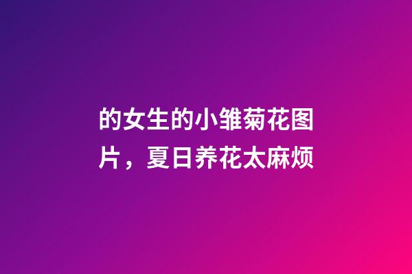 的女生的小雏菊花图片，夏日养花太麻烦-第1张-观点-玄机派