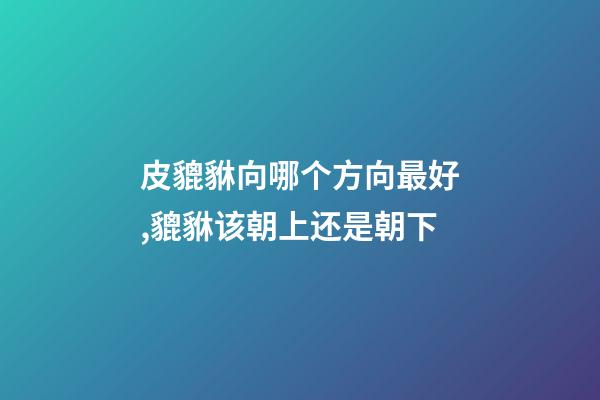 皮貔貅向哪个方向最好,貔貅该朝上还是朝下-第1张-观点-玄机派