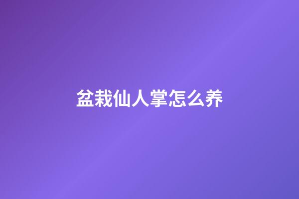 盆栽仙人掌怎么养