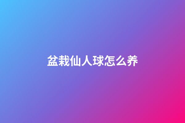 盆栽仙人球怎么养