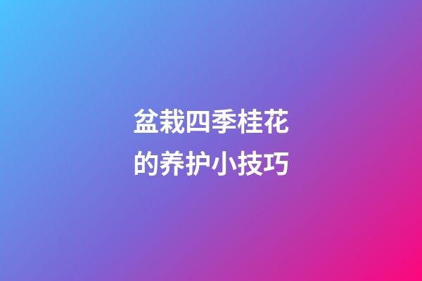 盆栽四季桂花的养护小技巧