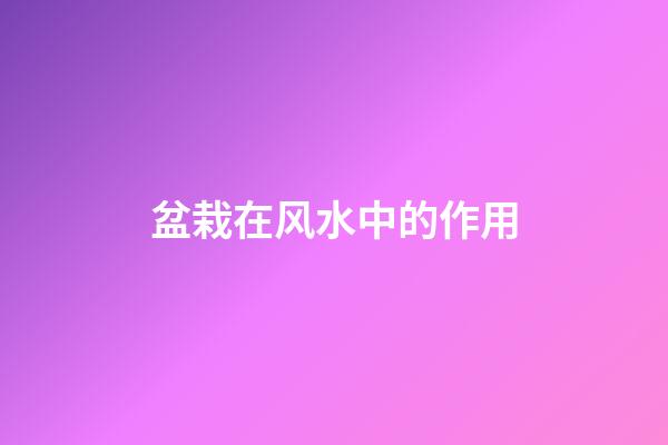 盆栽在风水中的作用