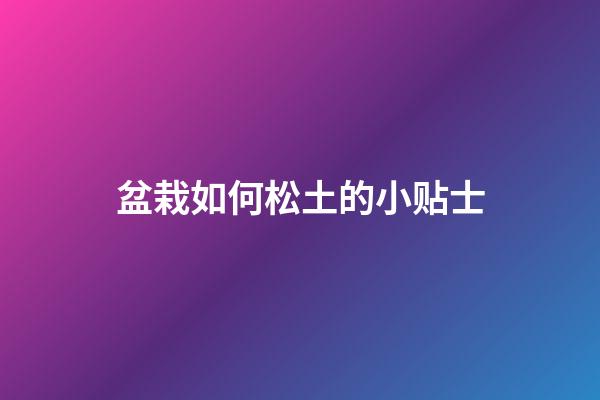 盆栽如何松土的小贴士