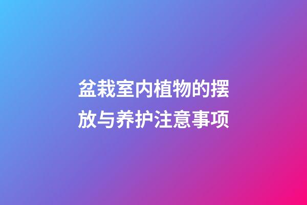 盆栽室内植物的摆放与养护注意事项
