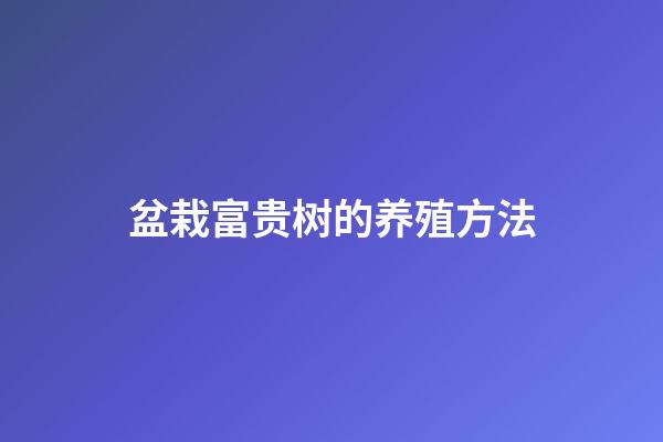 盆栽富贵树的养殖方法