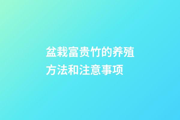 盆栽富贵竹的养殖方法和注意事项