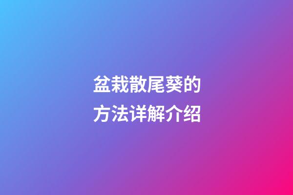 盆栽散尾葵的方法详解介绍