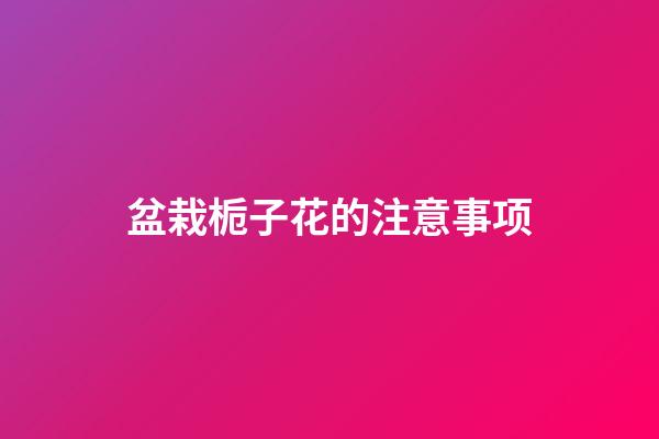 盆栽栀子花的注意事项