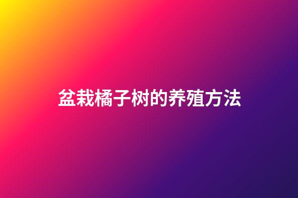 盆栽橘子树的养殖方法