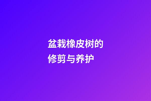 盆栽橡皮树的修剪与养护