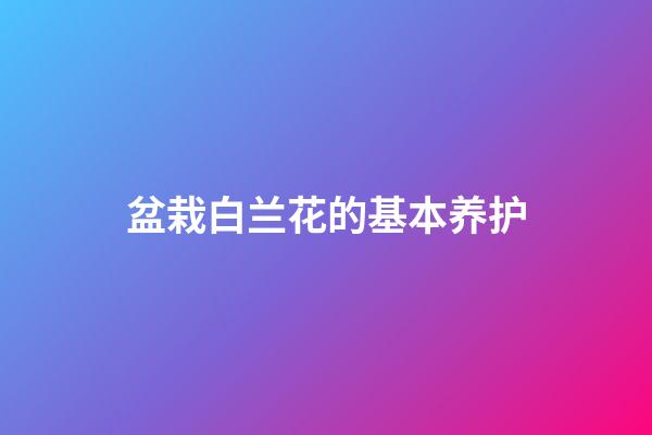 盆栽白兰花的基本养护