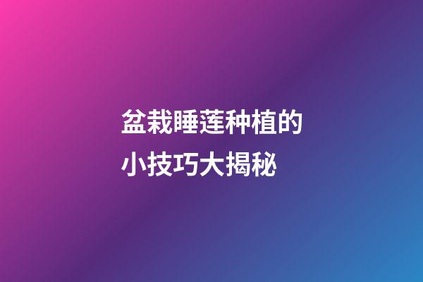盆栽睡莲种植的小技巧大揭秘