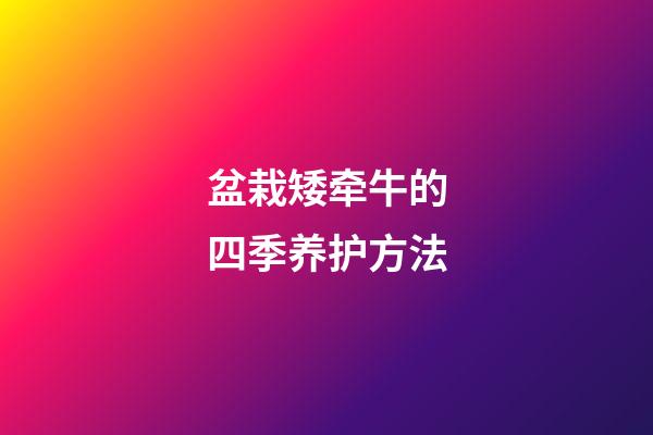 盆栽矮牵牛的四季养护方法