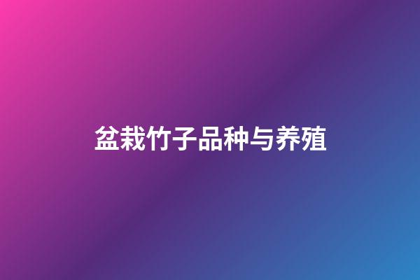 盆栽竹子品种与养殖