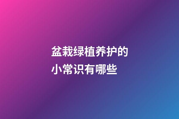 盆栽绿植养护的小常识有哪些