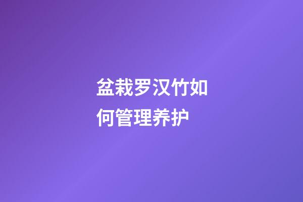 盆栽罗汉竹如何管理养护