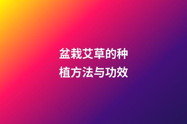 盆栽艾草的种植方法与功效