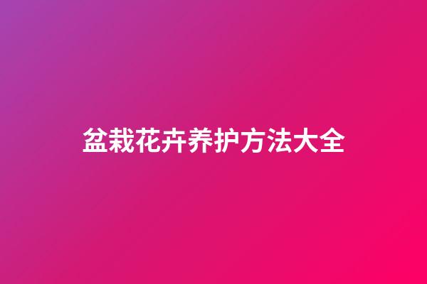 盆栽花卉养护方法大全