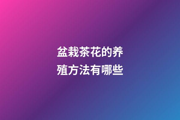 盆栽茶花的养殖方法有哪些