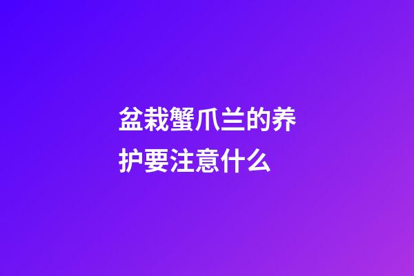盆栽蟹爪兰的养护要注意什么