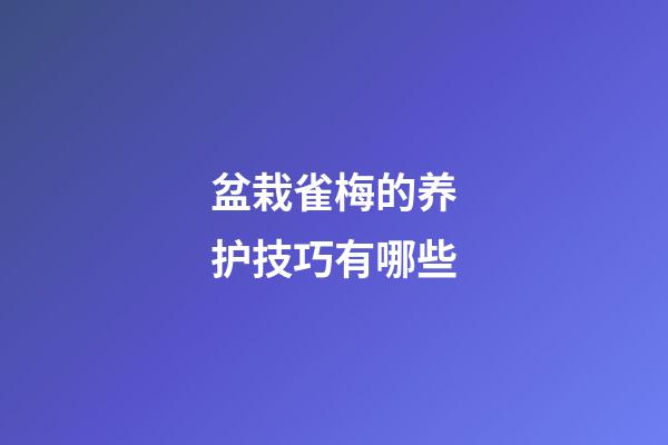 盆栽雀梅的养护技巧有哪些