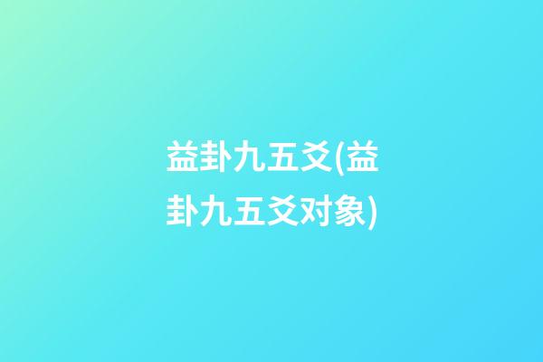 益卦九五爻(益卦九五爻对象)