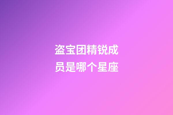 盗宝团精锐成员是哪个星座-第1张-星座运势-玄机派