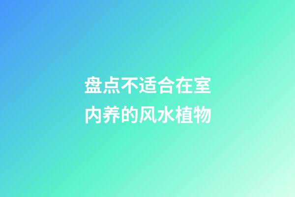 盘点不适合在室内养的风水植物