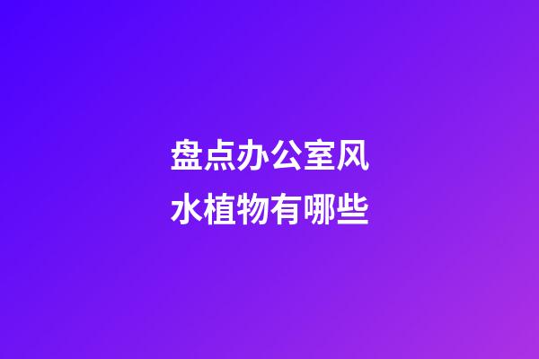 盘点办公室风水植物有哪些