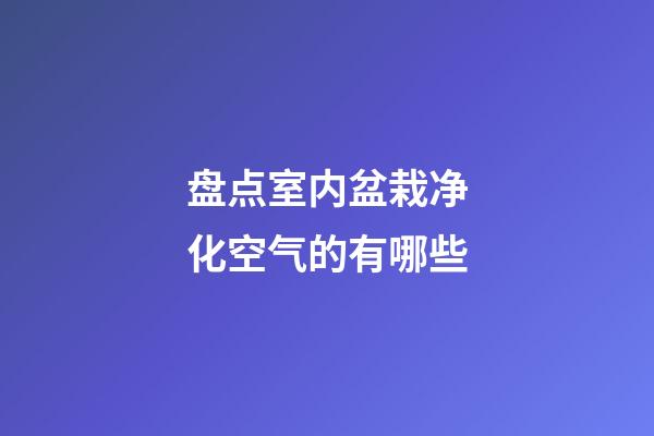 盘点室内盆栽净化空气的有哪些