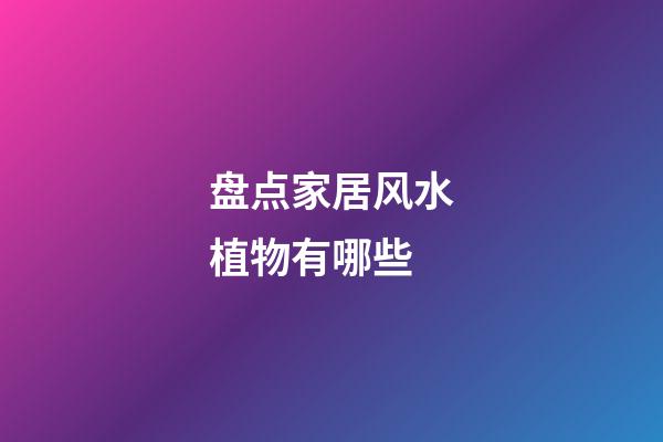 盘点家居风水植物有哪些