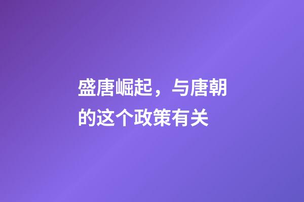 盛唐崛起，与唐朝的这个政策有关-第1张-观点-玄机派