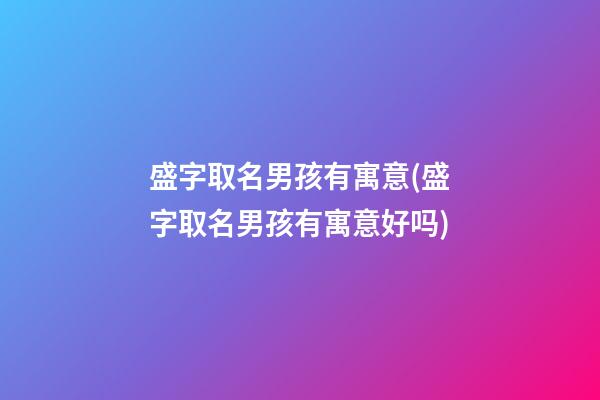 盛字取名男孩有寓意(盛字取名男孩有寓意好吗)