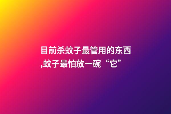 目前杀蚊子最管用的东西,蚊子最怕放一碗“它”-第1张-观点-玄机派