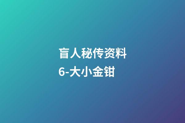 盲人秘传资料6-大小金钳