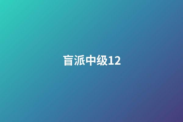 盲派中级12