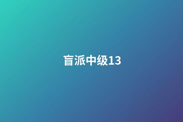 盲派中级13