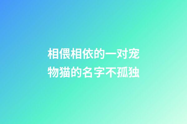 相偎相依的一对宠物猫的名字不孤独